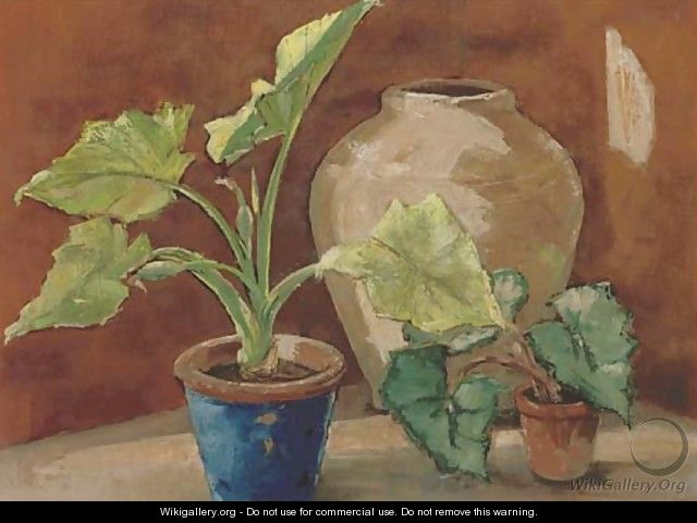 Plants and pots - English School