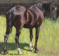 A horse in a paddock - English School