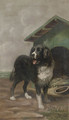 A collie in front of his kennel - English School