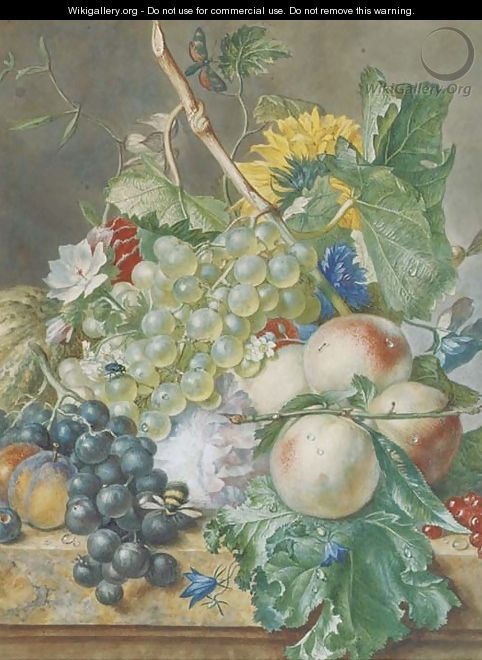 Still life of grapes, peaches, plums and other fruit with peonies, chrysanthemums and convolvulus, on a marble ledge - (after) Huysum, Jan van