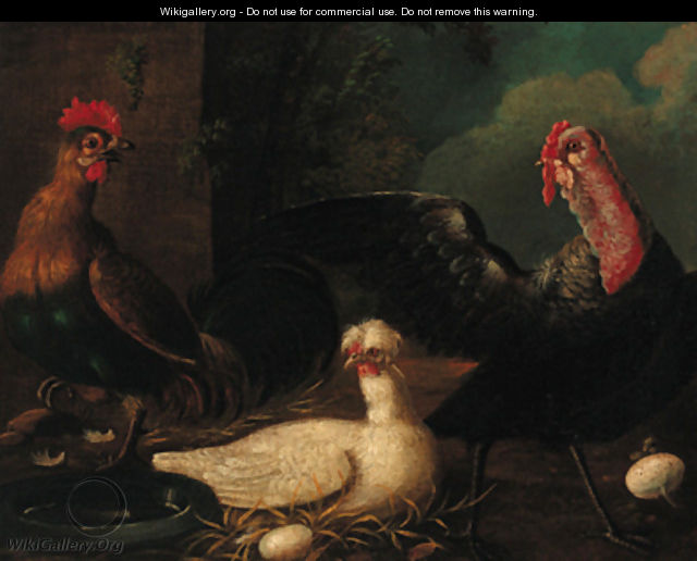 Poultry in a farmyard - (after) Jacomo (or Victor, Jacobus) Victors