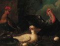 Poultry in a farmyard - (after) Jacomo (or Victor, Jacobus) Victors