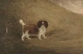 A spaniel in a landscape - (after) Francis Sartorius