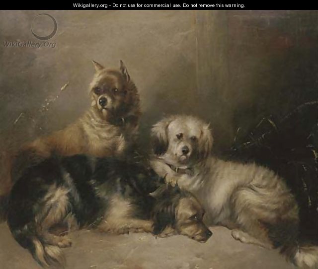 Three mischievous terriers - (after) George Armfield