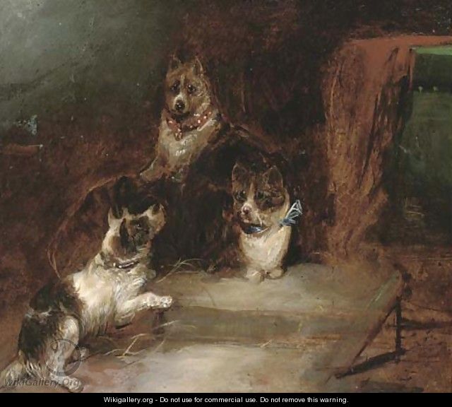 Terriers in a barn - (after) George Armfield