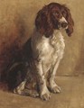 Spaniels by a river - (after) Edwin Armfield