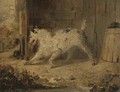 In the backyard - (after) Edmund Bristow