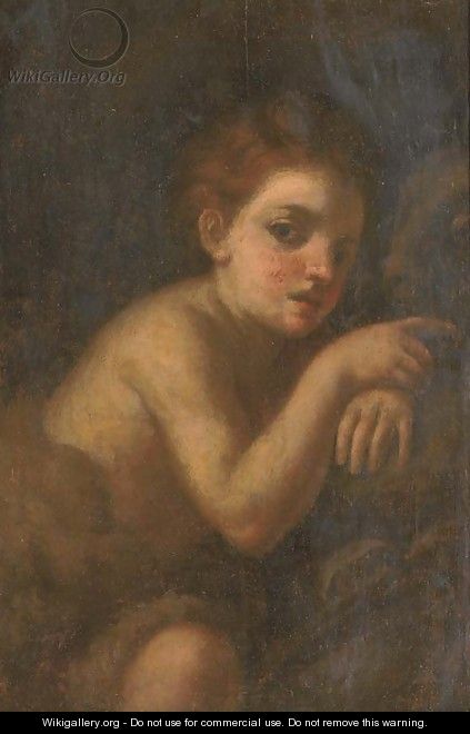 The Infant Saint John the Baptist - (after) Andrea Del Sarto