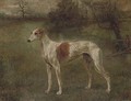 A prize greyhound in a landscape - (after) Arthur Wardle