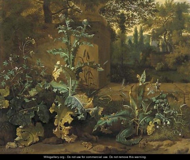 Frogs, butterflies and snails amid undergrowth near a wall, an Italianate garden beyond - Dirck Maas