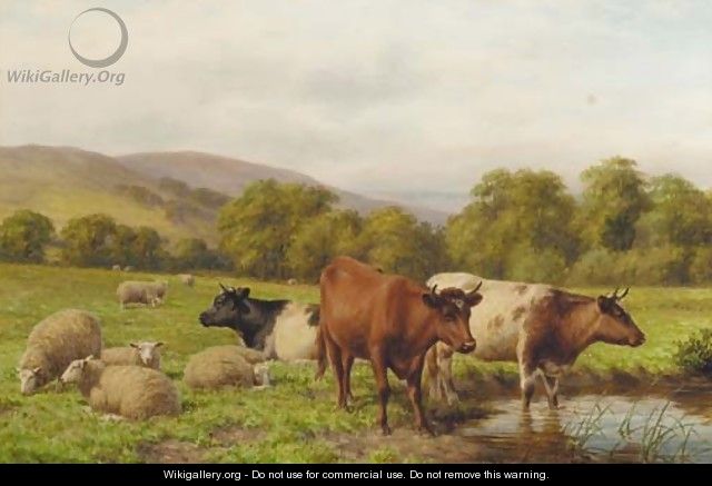 Cattle and sheep resting in a water meadow - Dixon Clark