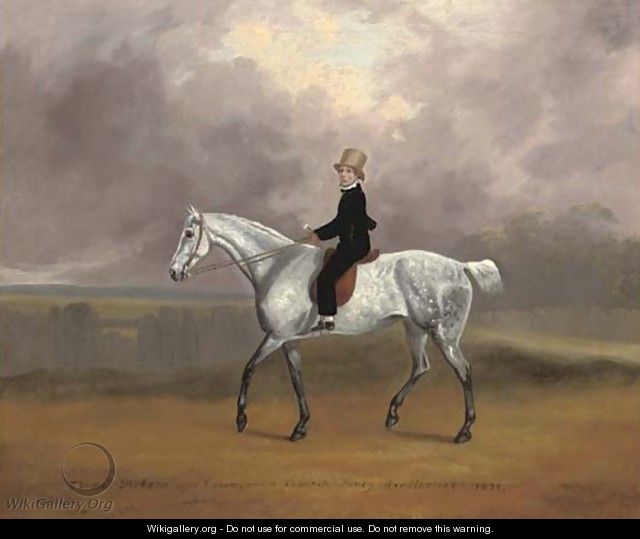 Thomas Dicksan, aged 8, on his favourite pony Wendlestone, in a landscape - David of York Dalby