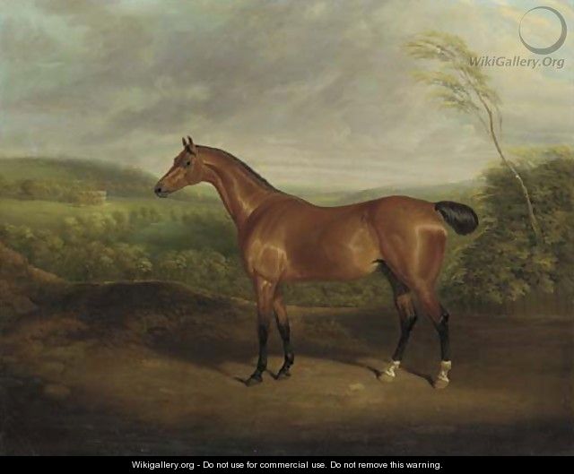 Cock Robin, a chestnut hunter in a wooded landscape with a mansion beyond - David of York Dalby