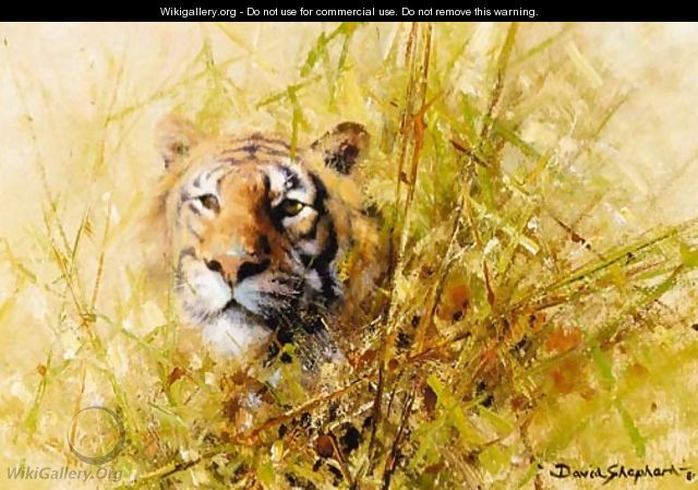 Tiger Study - Thomas Hosmer Shepherd