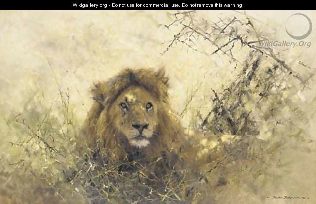 Old Chap - portrait of a lion - Thomas Hosmer Shepherd