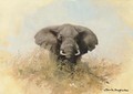 Elephant in the bush - Thomas Hosmer Shepherd