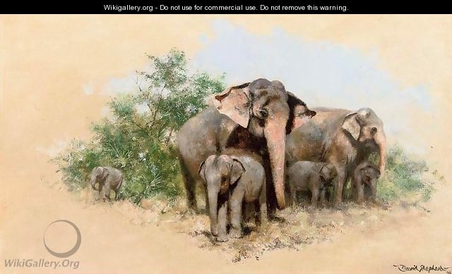 A family of elephants - Thomas Hosmer Shepherd