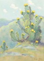 Cactus study - Dawson Dawson-Watson