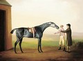 Racehorse with jockey and groom - Daniel Clowes