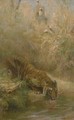 The Tiger Hunt - Cuthbert Edmund Swan