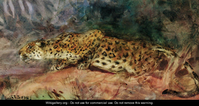 Stalking Leopard - Cuthbert Edmund Swan