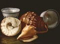 Three shells and two ceramic bowls - Cristoforo Munari