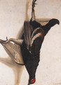 A tromp-l'oeil of a Blackcock hanging from a Nail - Cornelis Biltius