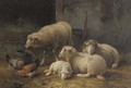 Interieur d'etable avec moutons - Cornelis van Leemputten
