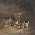 Chickens in a barn - Continental School