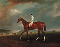 A chestnut racehorse with jockey up, with horses exercising beyond - Claude L. Ferneley