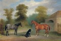 A chestnut hunter with a roan pony and dog before a stable - Claude L. Ferneley
