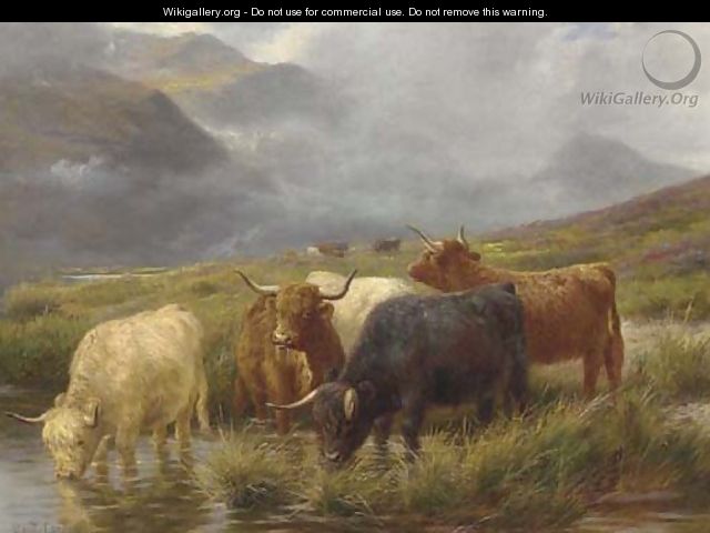 Highland cattle watering - Claude Cardon