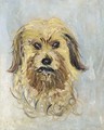 Tete de chien griffon, Follette - Claude Oscar Monet