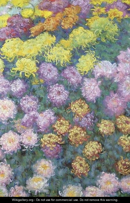 Massif de chrysanthemes - Claude Oscar Monet
