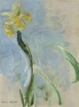 Iris jaune - Claude Oscar Monet