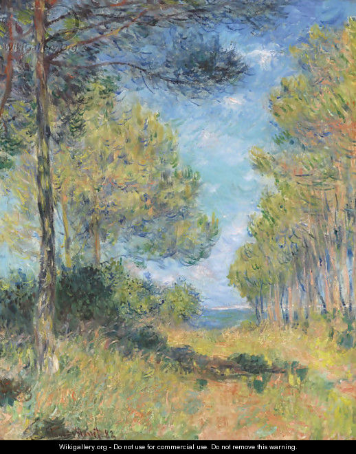 Allee de sapins AA  Varengeville - Claude Oscar Monet