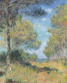 Allee de sapins AA  Varengeville - Claude Oscar Monet