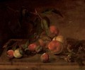 Peaches, plumbs and hazelnuts on a stone ledge - (after) Tobias Stranover