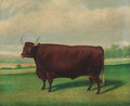 A prize longhorned bull - (after) Thomas Weaver