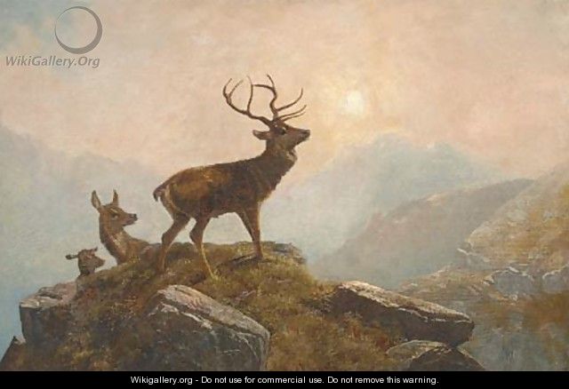 Stags in a Highland landscape 2 - Clarence Roe