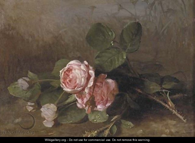 Morning dew on pink roses - Clara Von Sivers