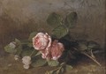 Morning dew on pink roses - Clara Von Sivers
