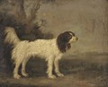 A springer spaniel in a landscape - English School