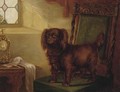 A spaniel in an interior - English School