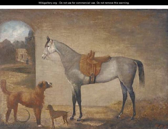 A saddled grey in a stable with two dogs - English School