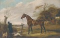 A saddled dark brown hunter in a landscape - English School
