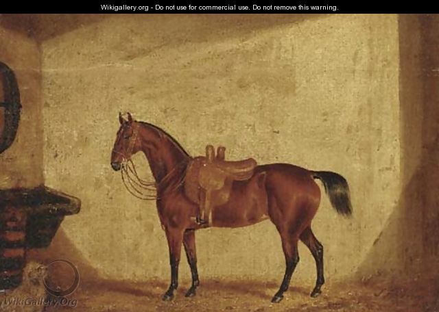 A saddled bay horse in a stable - English School