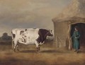A prize bull before a barn - English School