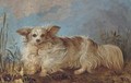 A papillon in a landscape - English School