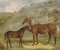 A mare with her foal, in an extensive landscape - English School